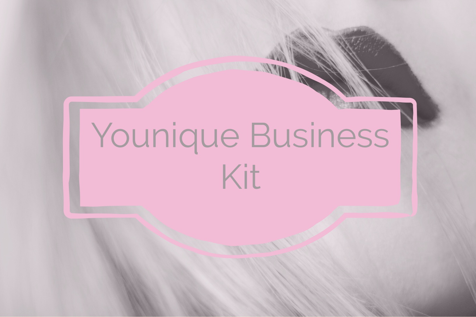 Younique Business Kit – What’s Inside?