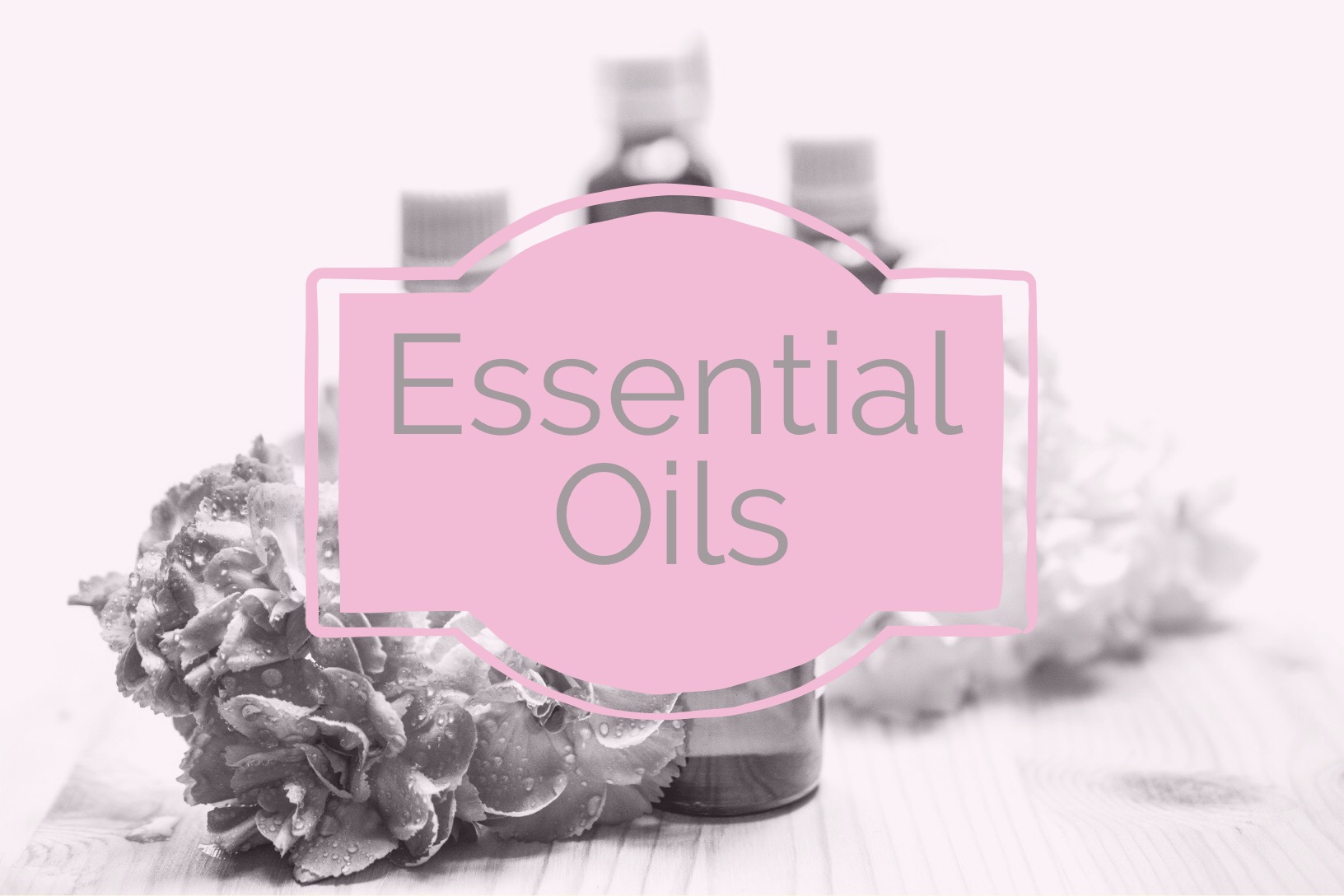 Eden’s Semilla Jojoba Oil & It’s Many Uses
