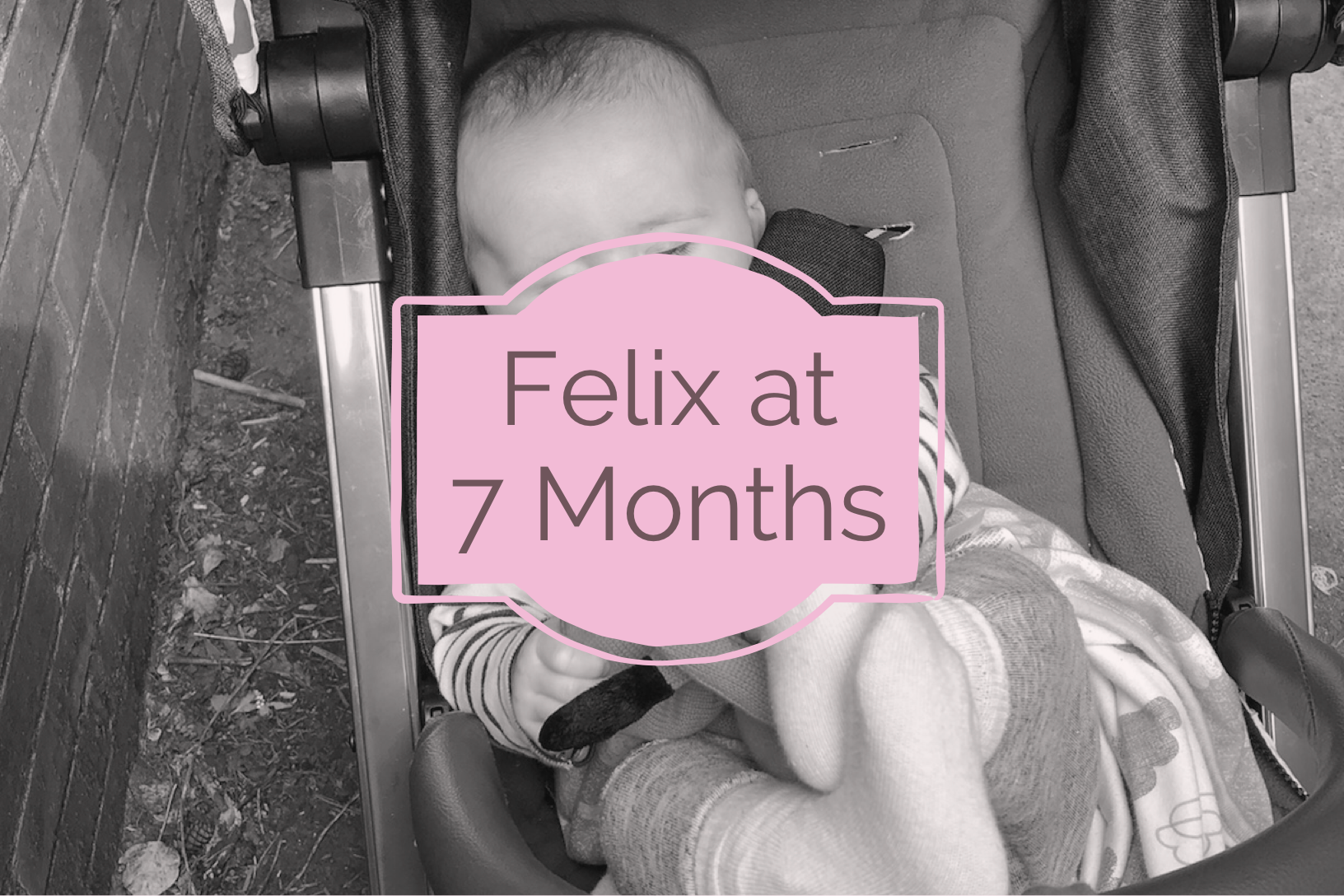 Felix at Seven Months Old
