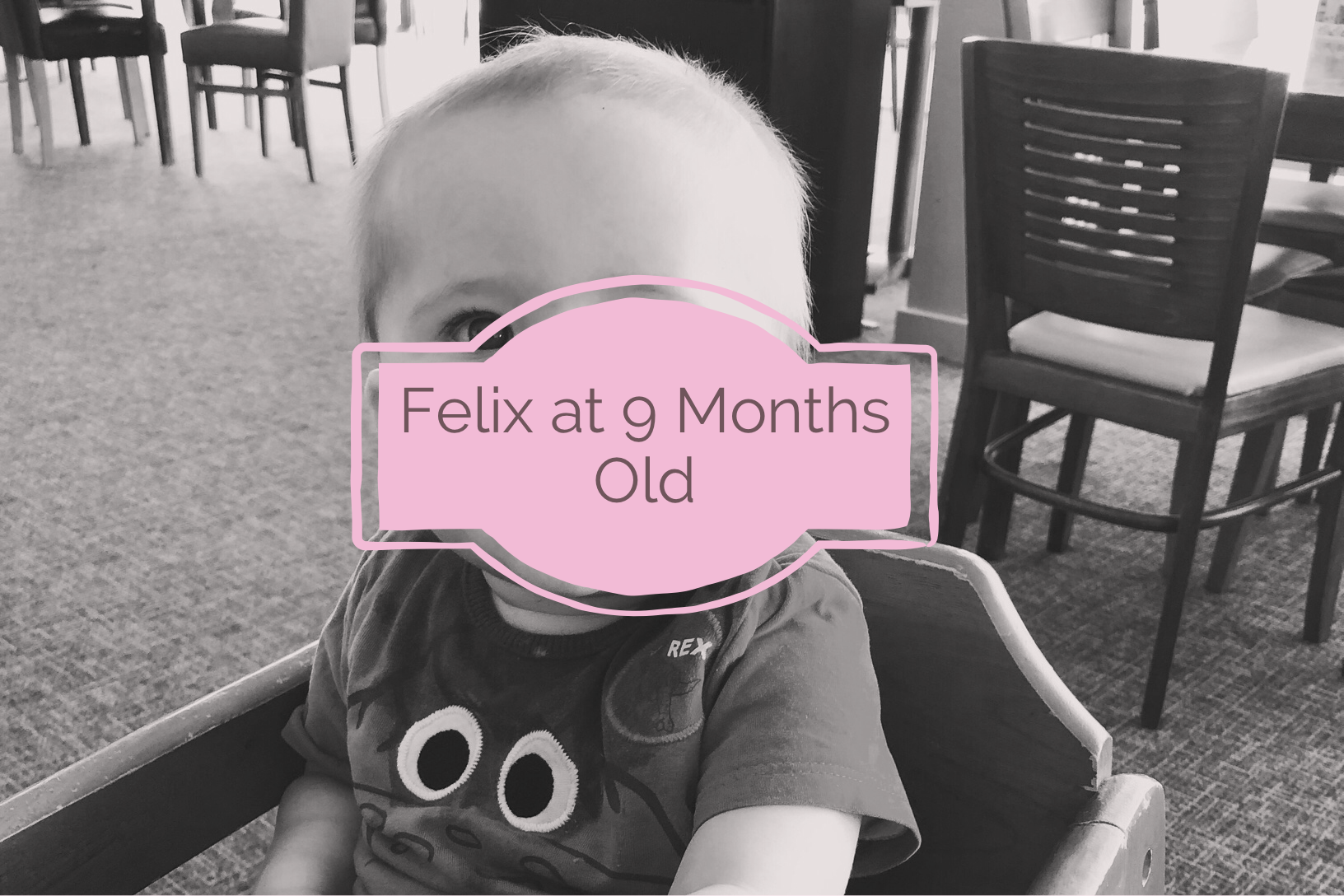 blog post about felix being 9 months old