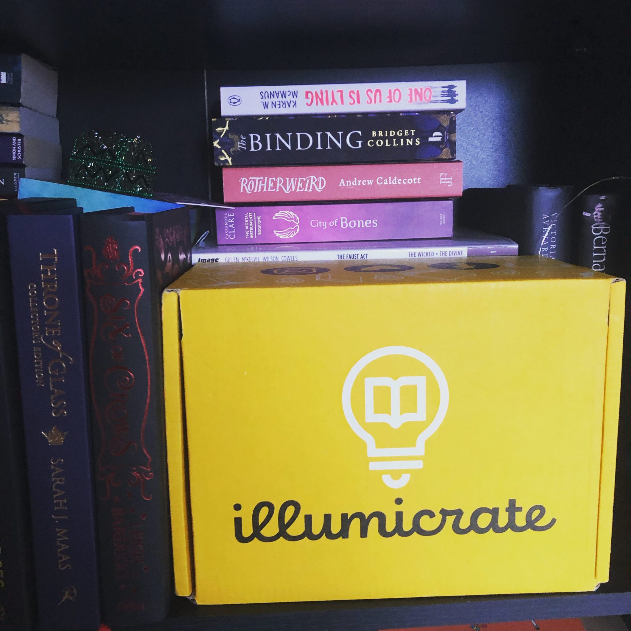 unboxing the january illumicrate box – the strength within