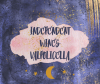 Independent Wines: Valpolicella