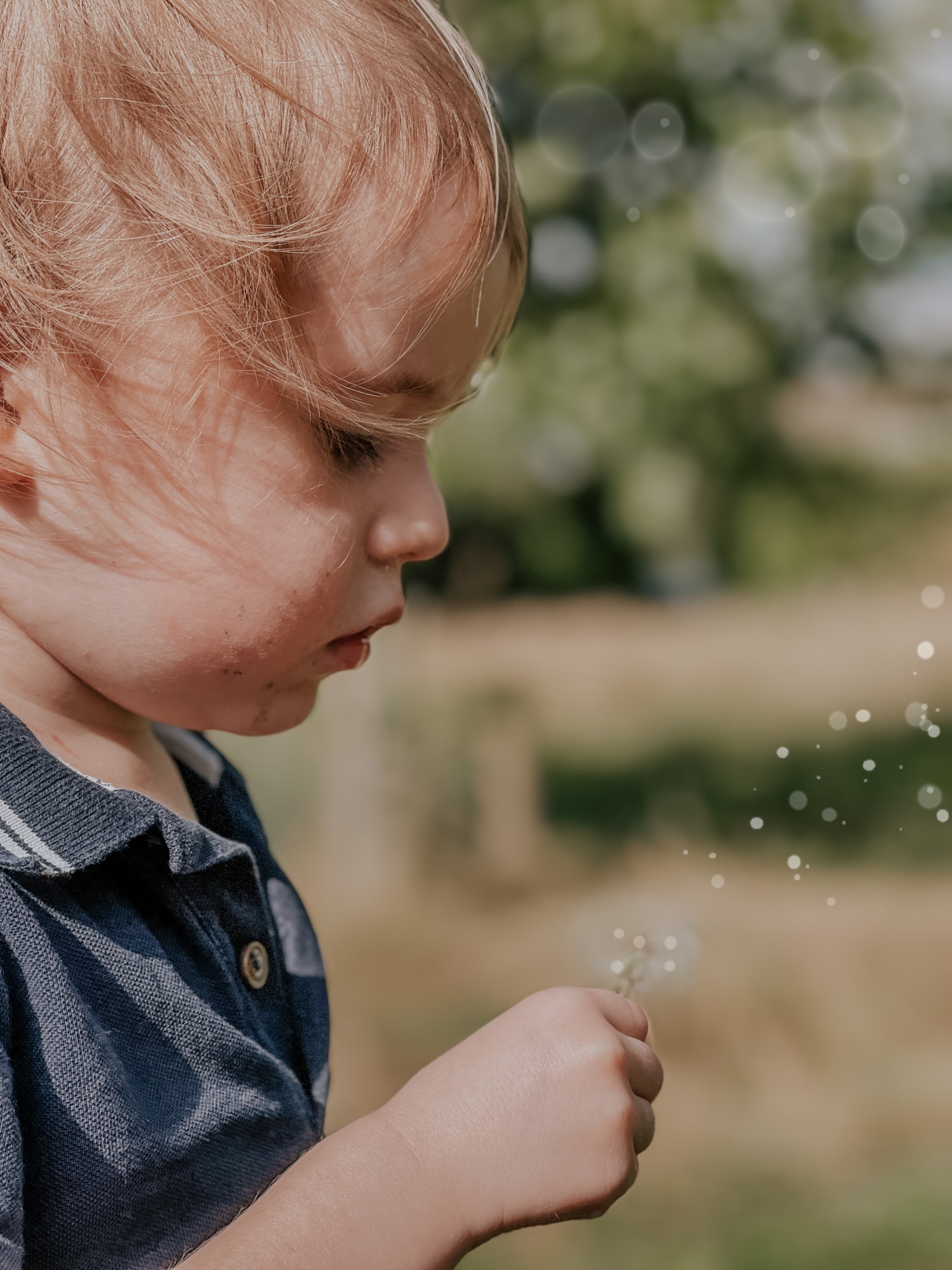 Happy 3rd Birthday Felix